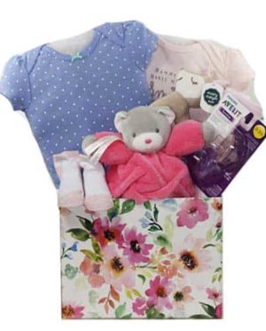 Baby shower gift baskets
