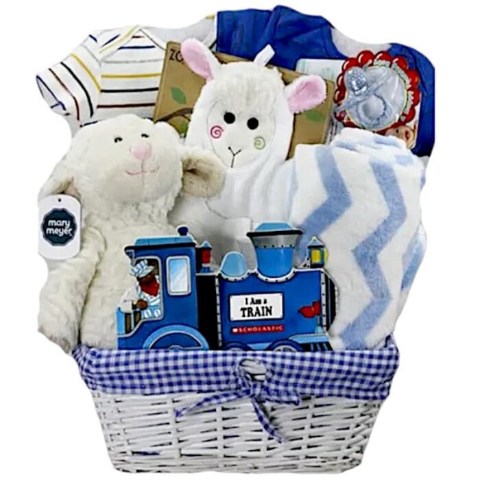 Baby Boy Lamb 2