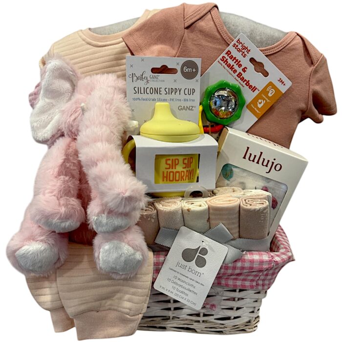 Baby Girl Elephant 3