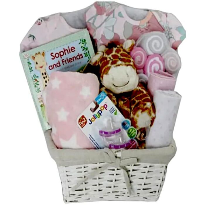 Baby Girl Giraffe 1