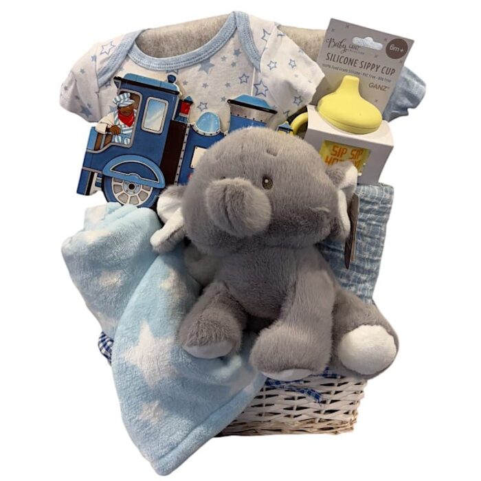 My Baby Elephant 1