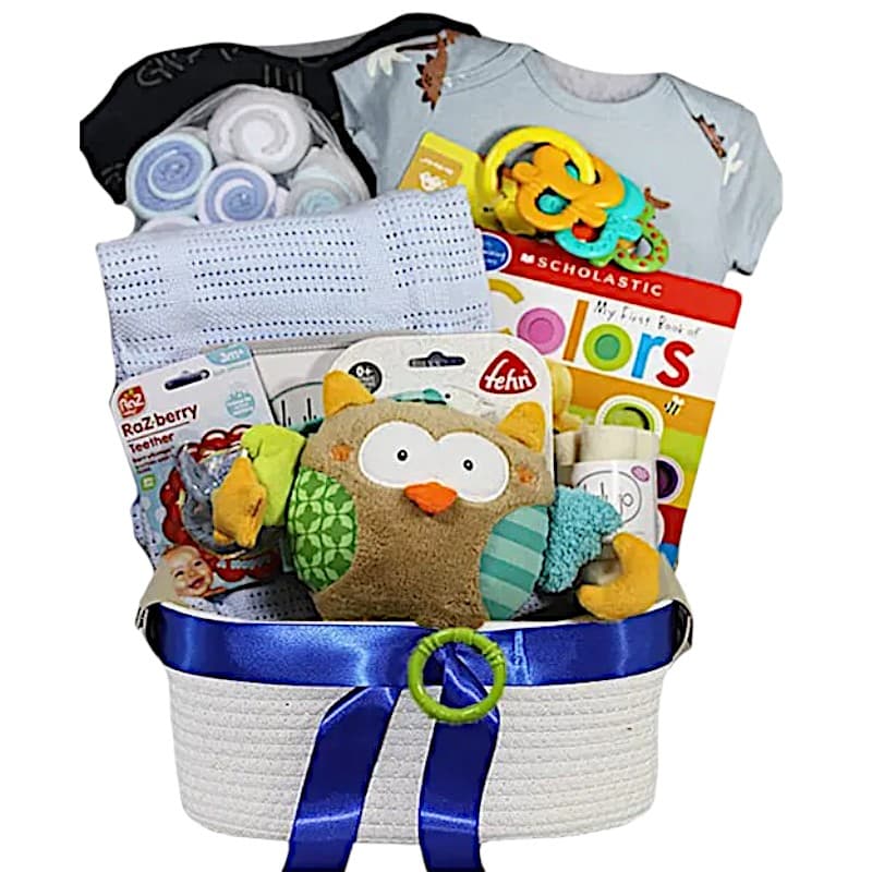 Owl Baby Boy 2 Owl Baby Boy 2