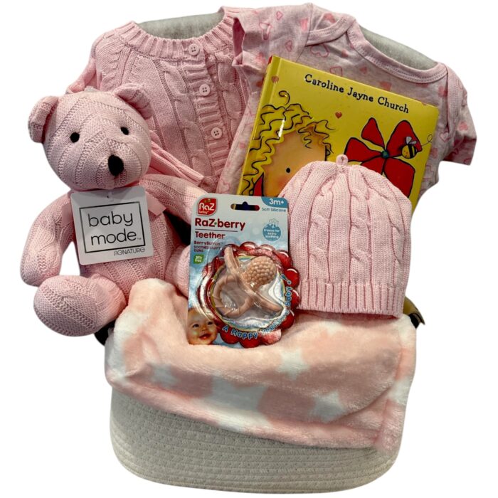 Teddy Bear Girl Basket 3