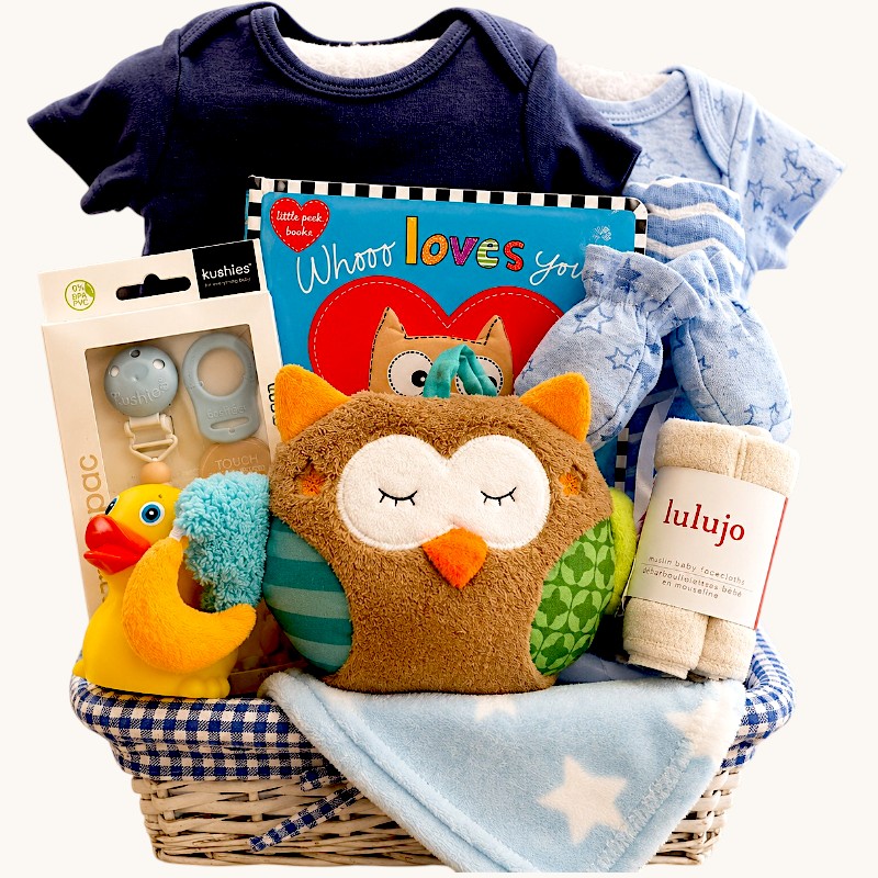 Baby Owl Boy Baby Owl Boy - Image 1