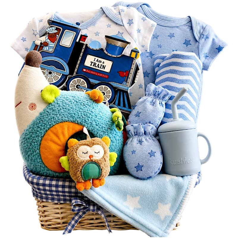 Boy Hedge Hog Arrival Boy Hedge Hog Arrival