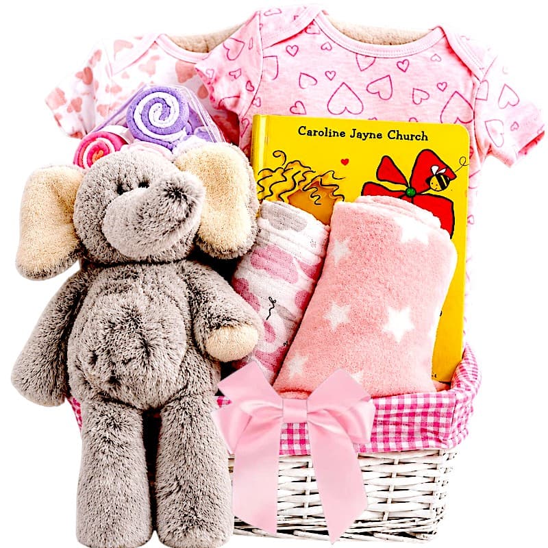 Elephant Baby Girl Gift Elephant Baby Girl Gift